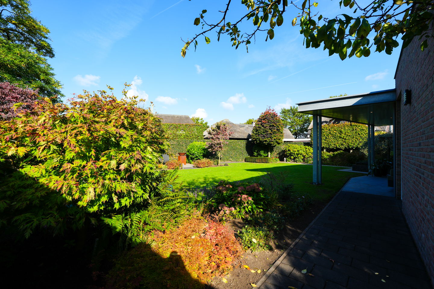 Foto 59 van Vlaamse Gaai 2