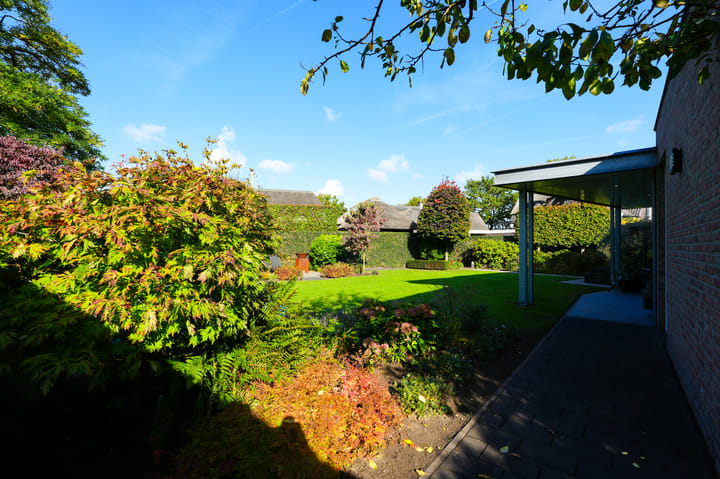 Foto 59 van Vlaamse Gaai 2