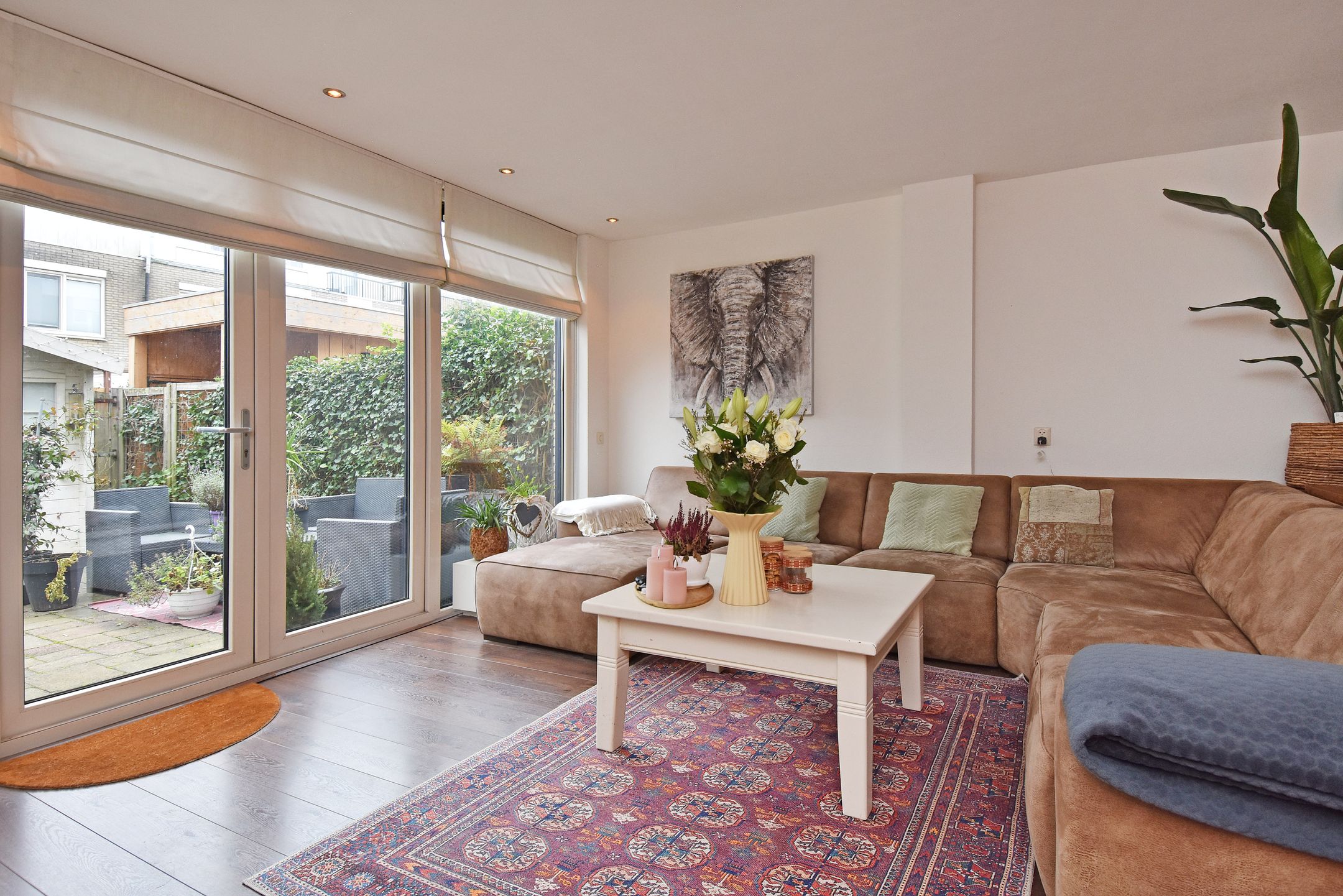 Photo 12 of Staalblauw 101