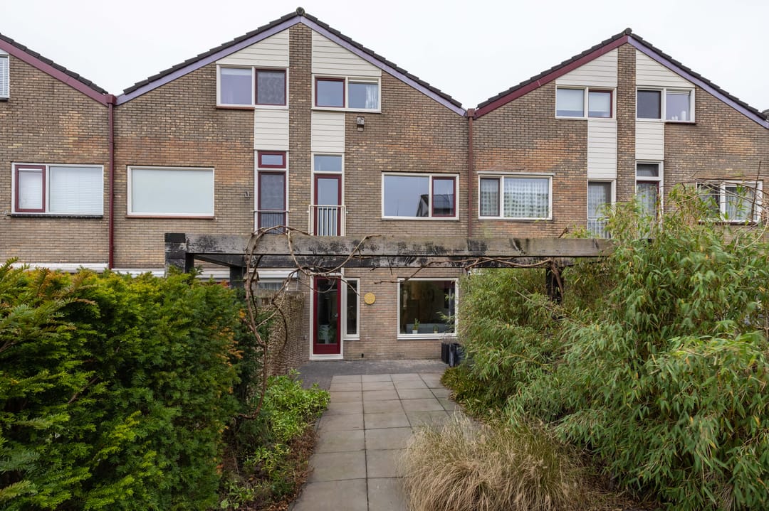 Foto 1 van Lenteklokje 95