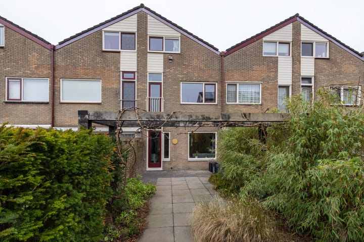 Foto 1 van Lenteklokje 95