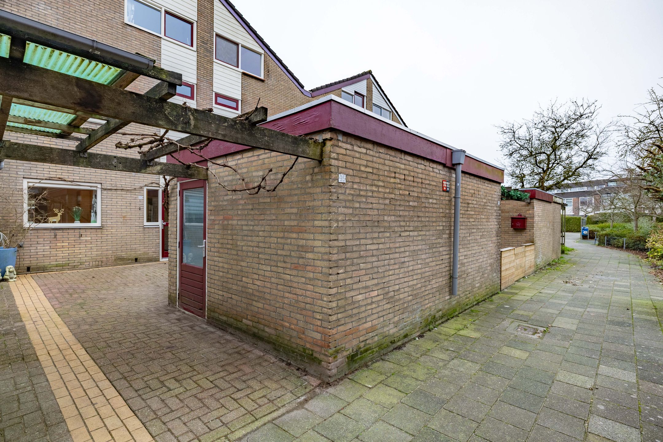 Foto 6 van Lenteklokje 95