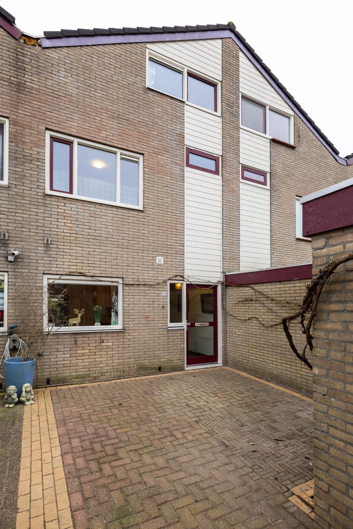 Foto 8 van Lenteklokje 95