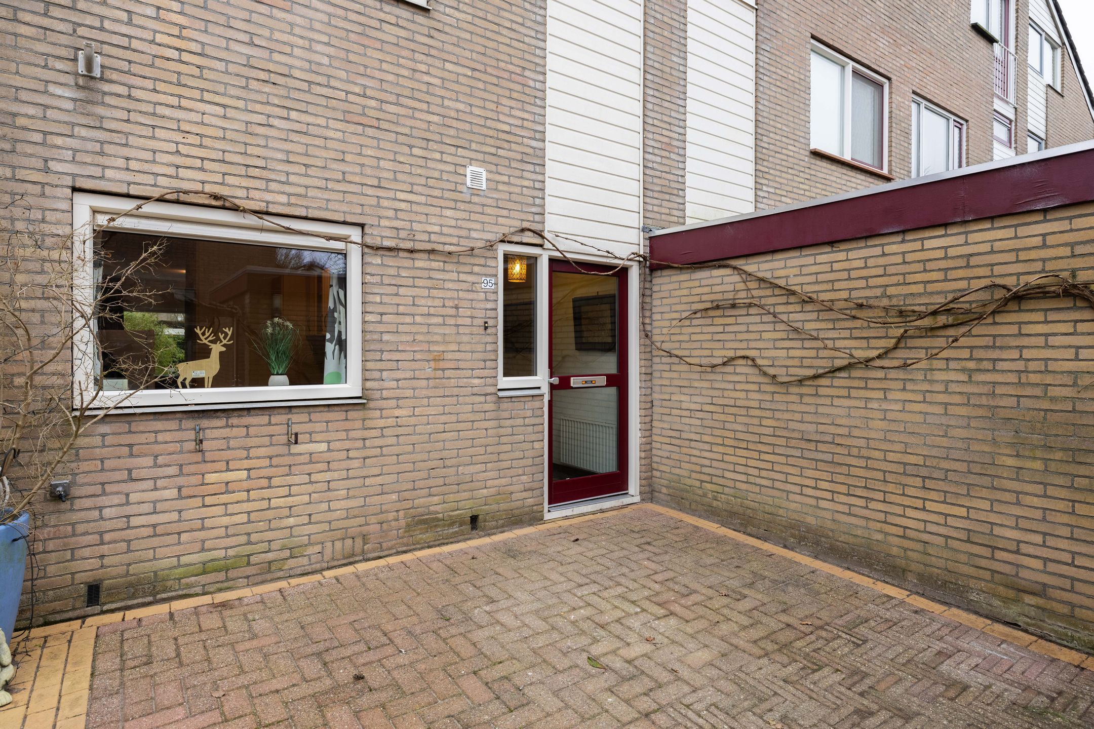 Foto 9 van Lenteklokje 95