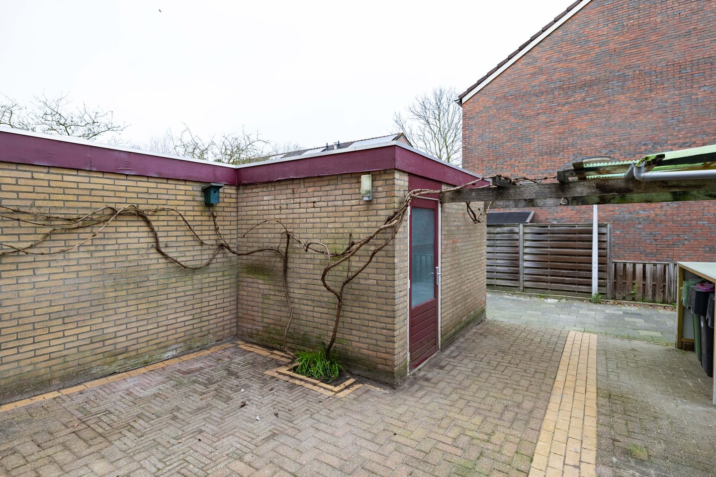 Foto 10 van Lenteklokje 95