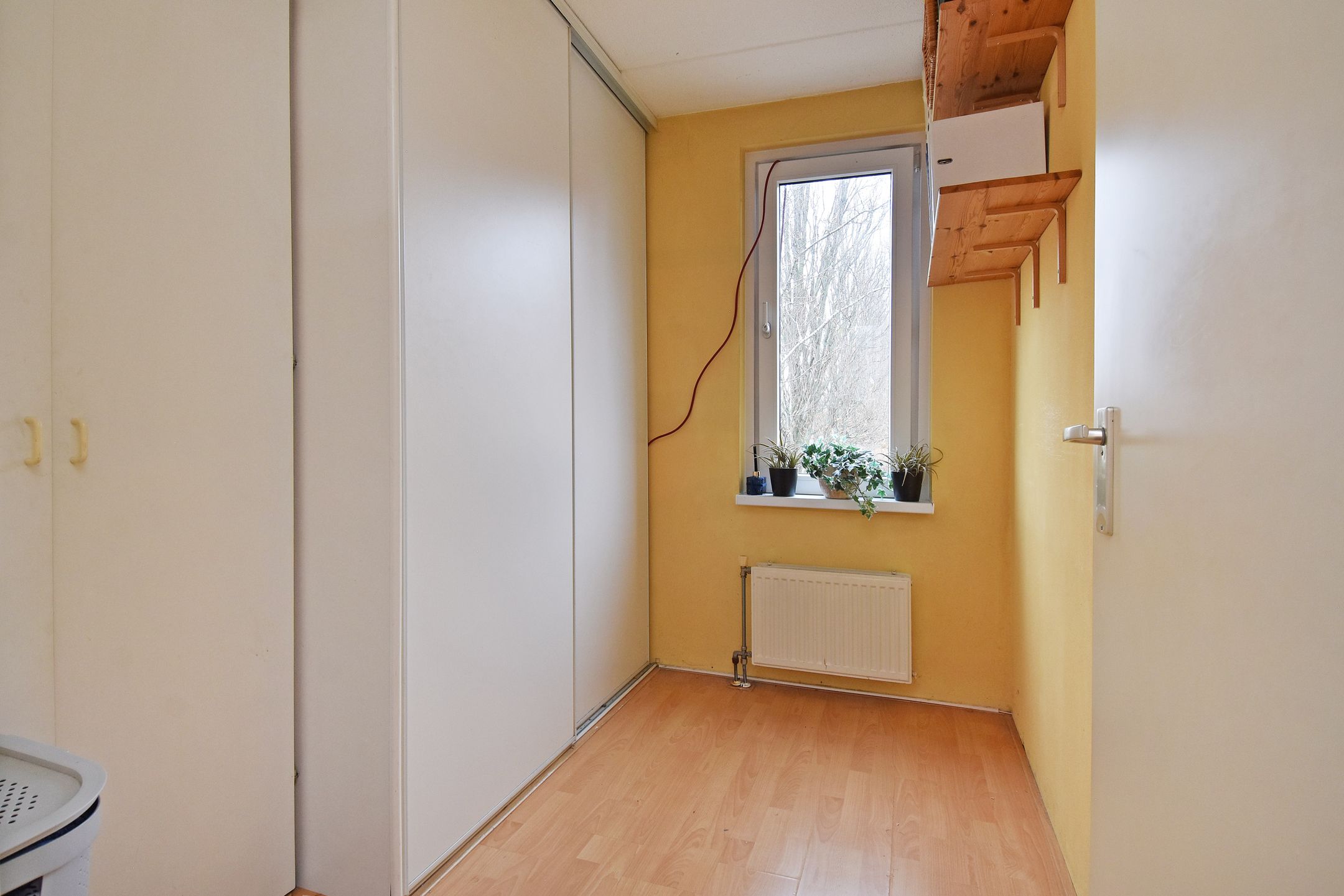 Photo 27 of Staalblauw 101