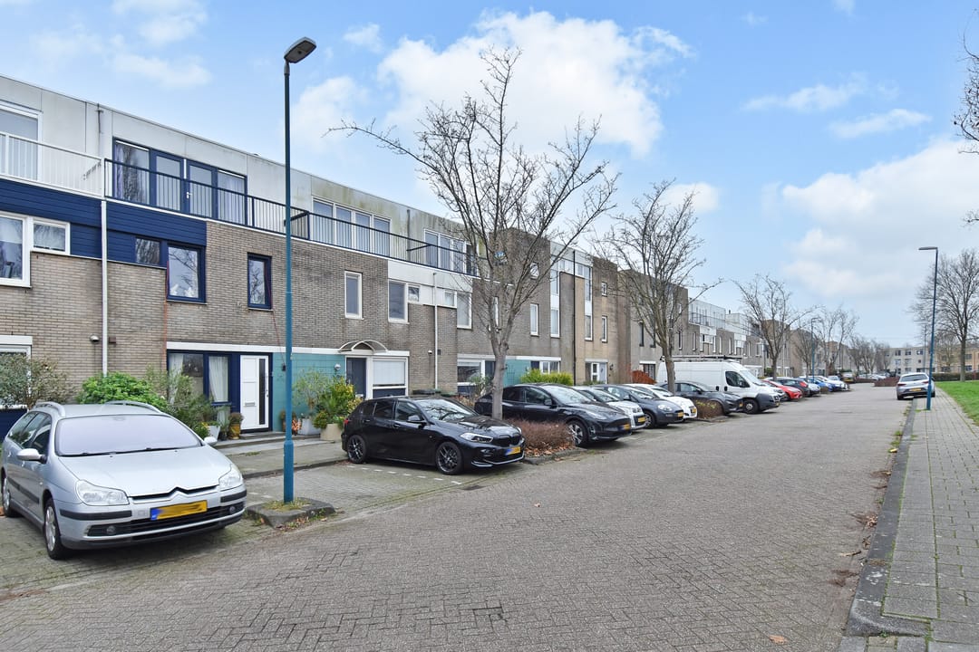 Photo 37 of Staalblauw 101