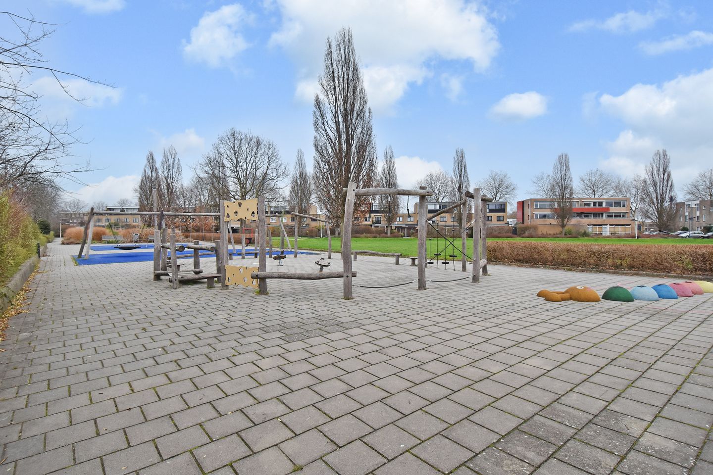 Photo 40 of Staalblauw 101