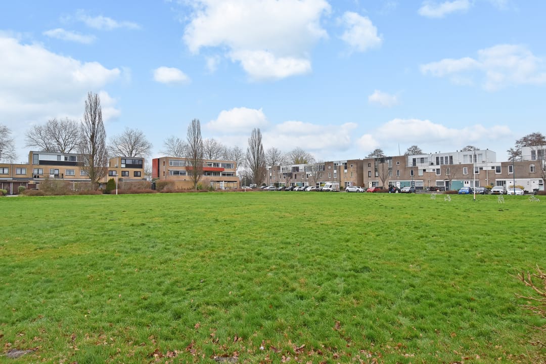 Photo 41 of Staalblauw 101