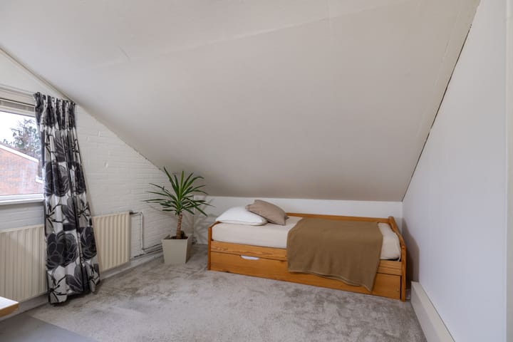 Foto 34 van Lenteklokje 95