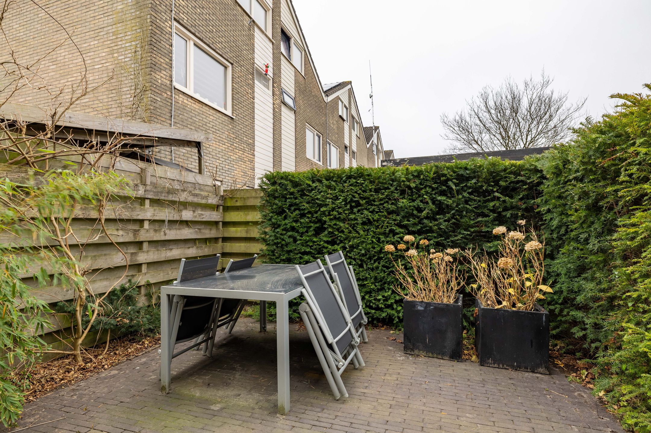 Foto 39 van Lenteklokje 95