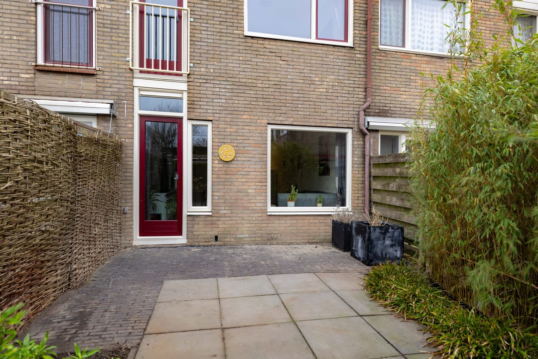 Foto 41 van Lenteklokje 95