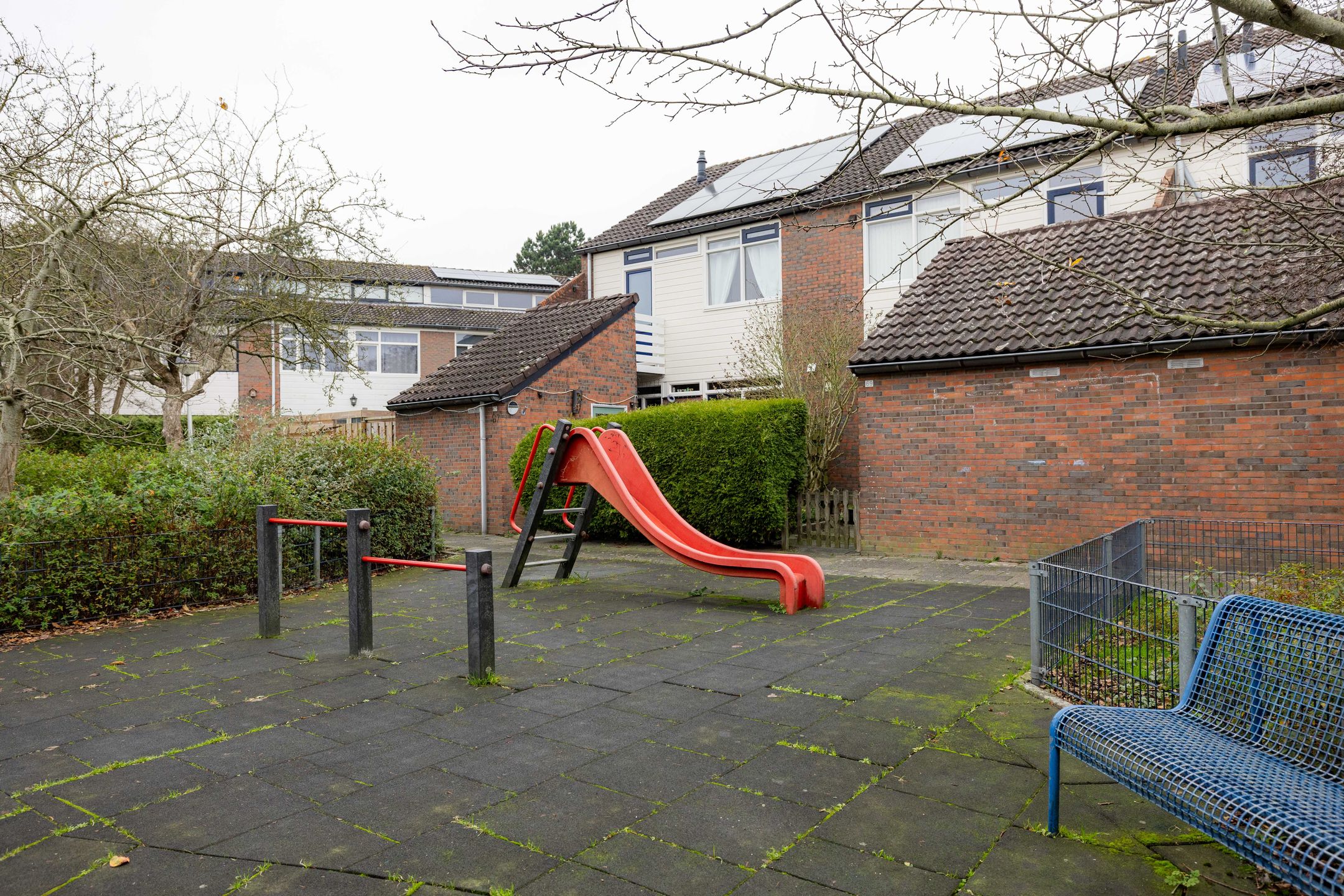 Foto 42 van Lenteklokje 95