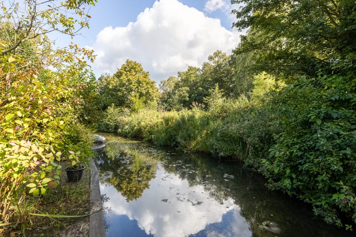 Foto 4 van Krekelmeent 55