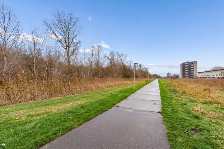 Foto 39 van Ambonstraat 52