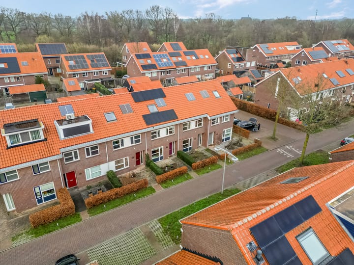 Foto 41 van Reeshofbos 40