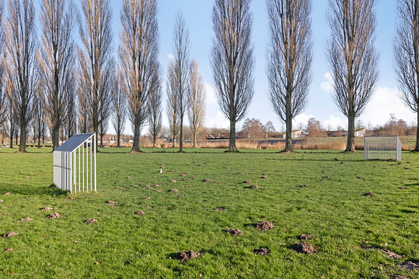 Photo 29 of Houtwal 85