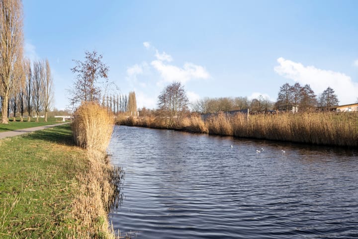 Foto 30 van Houtwal 85