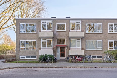 Helper Brink thumbnail