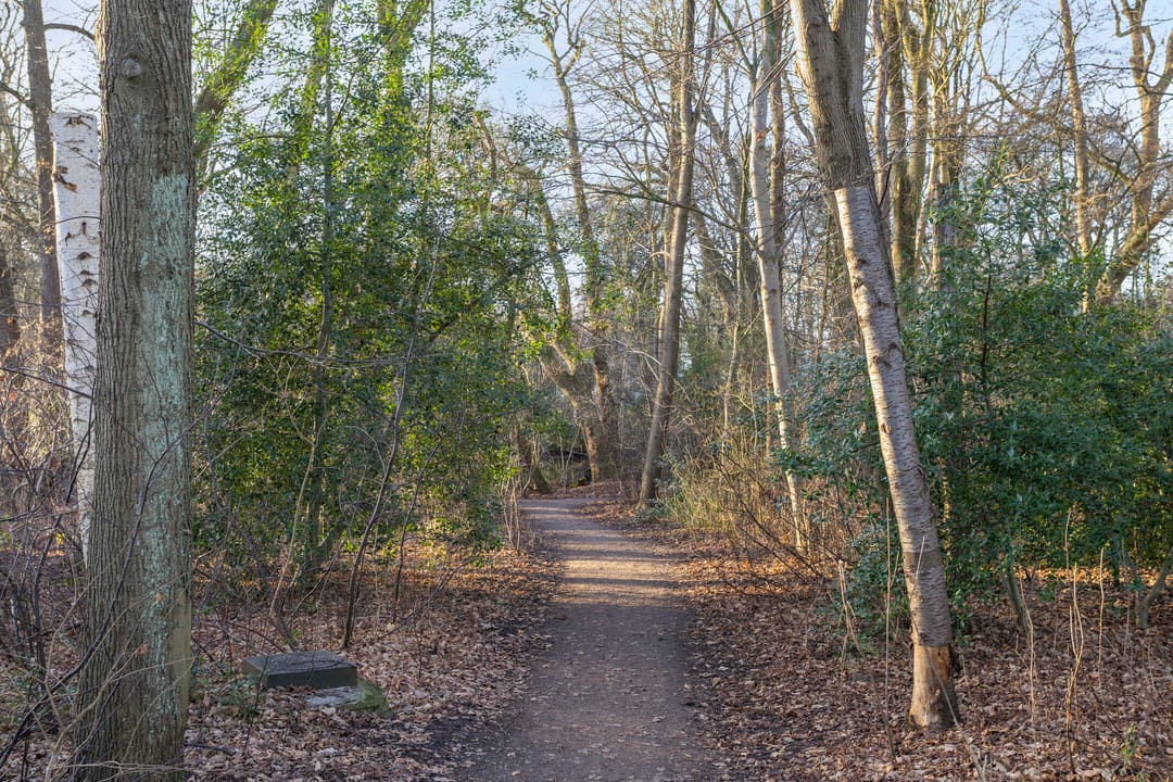 Foto 38 van Helper Brink 85