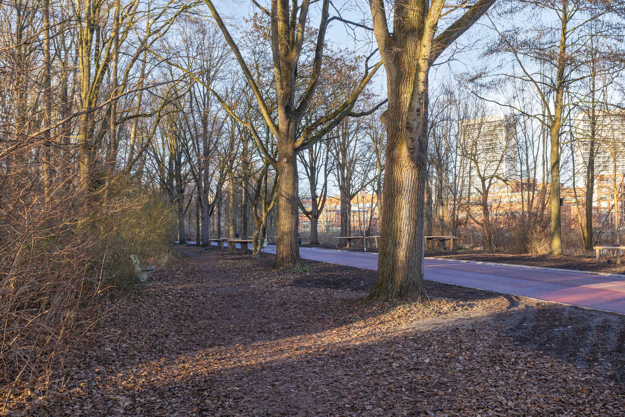 Foto 39 van Helper Brink 85