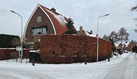 Enkweg 1 secondary image