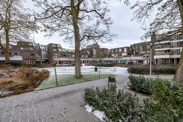 Foto 20 van de Veentjes 18