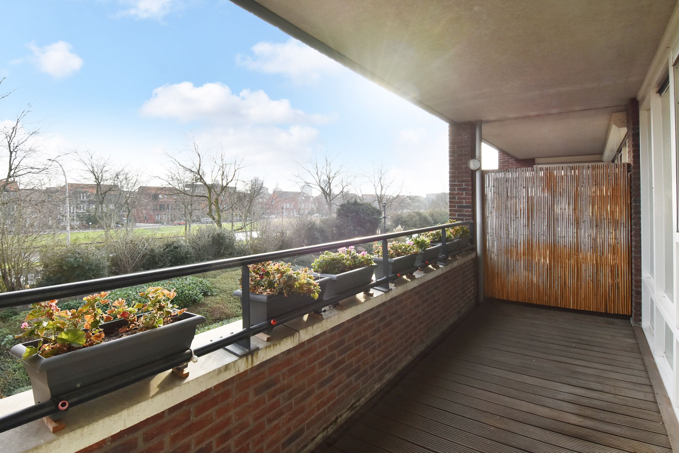 Photo 3 of Wingerd 34