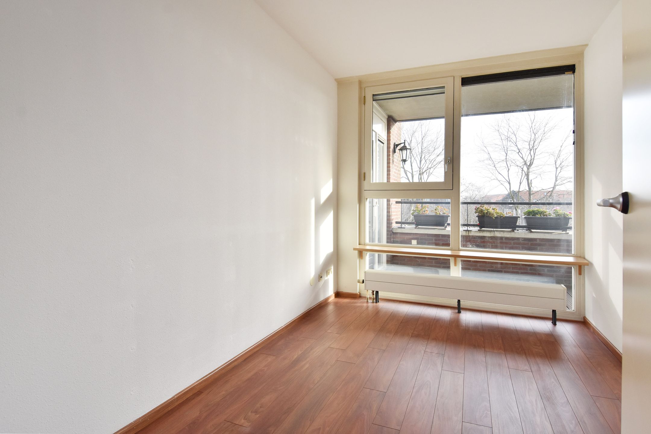 Photo 21 of Wingerd 34