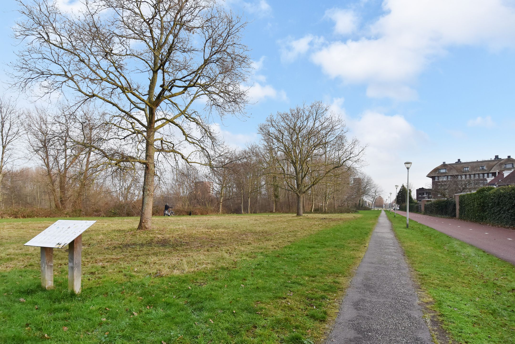 Photo 33 of Wingerd 34