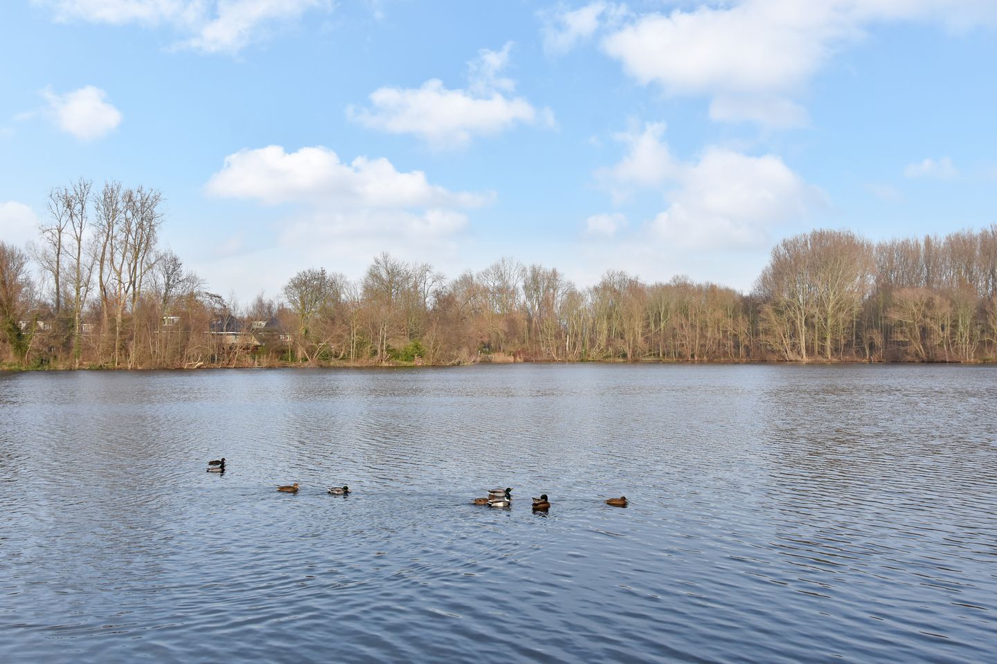 Photo 35 of Wingerd 34