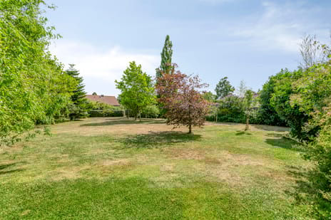 Achterweg 5 tertiary image