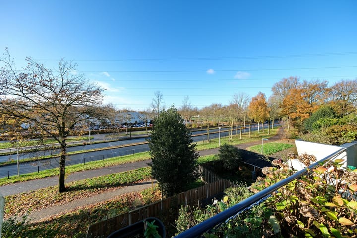 Foto 5 van Wildforster 251