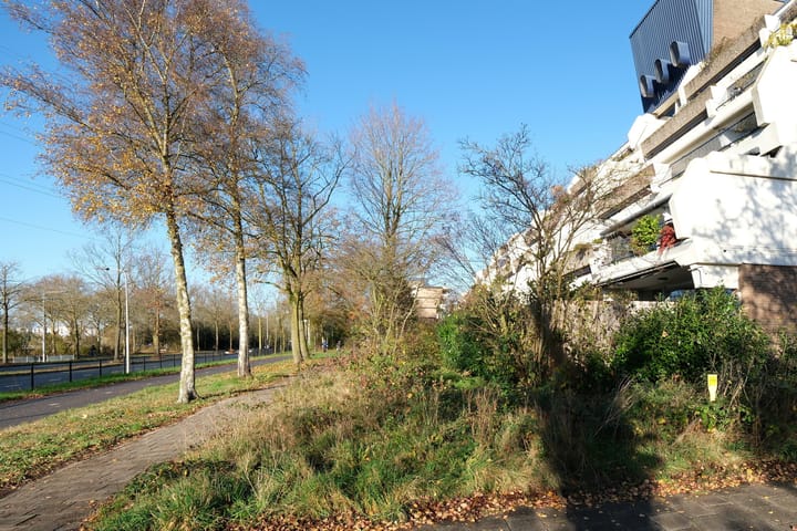 Foto 29 van Wildforster 251