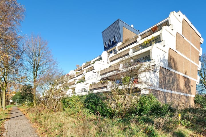 Foto 30 van Wildforster 251