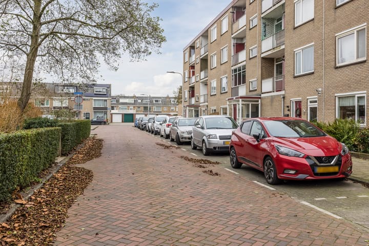 Foto 6 van Salviahof 41