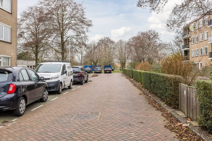 Foto 7 van Salviahof 41