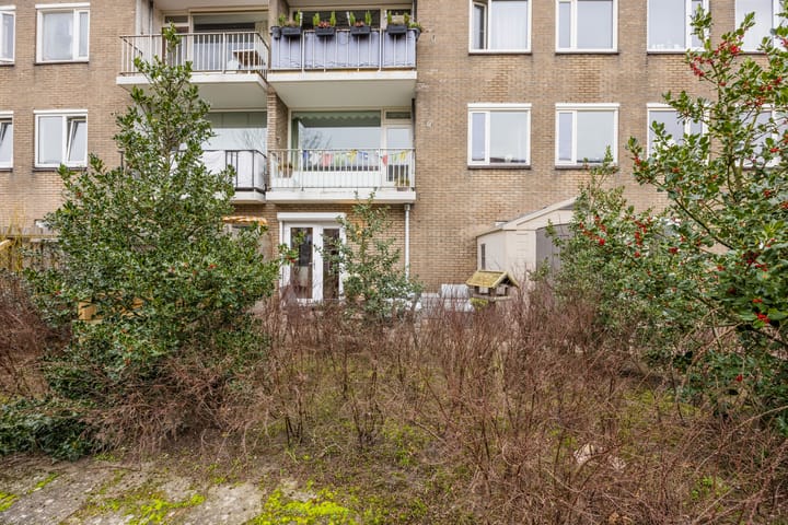 Foto 32 van Salviahof 41