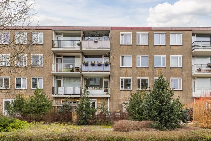 Foto 33 van Salviahof 41