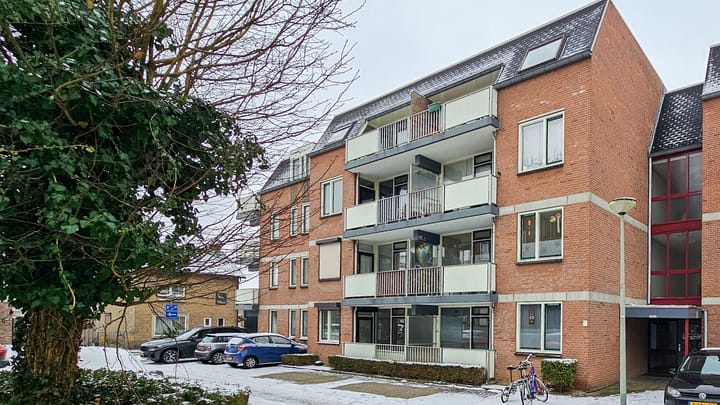 Foto 25 van Romeinenplein 17