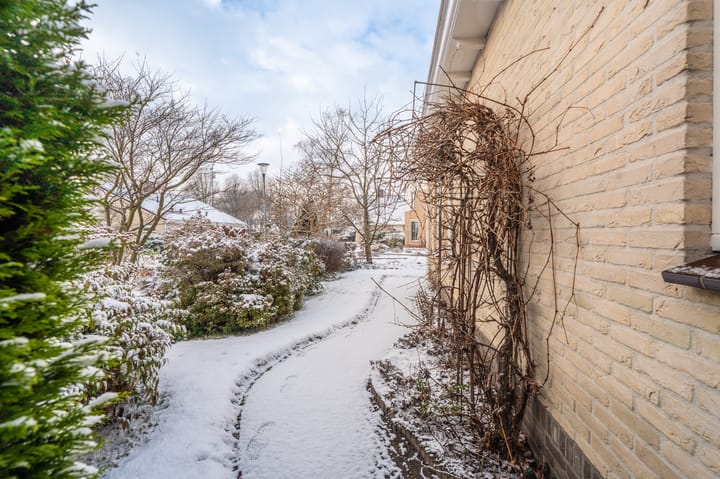 Foto 61 van Amethistlaan 6