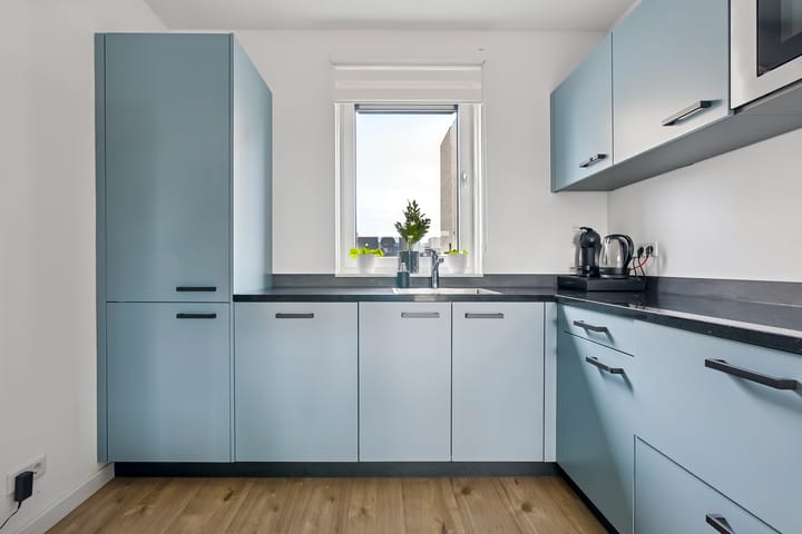 Photo 2 of Gentiaan 9