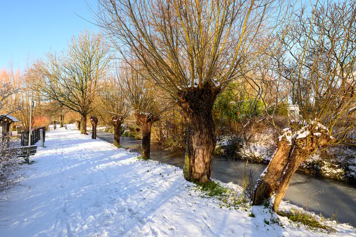 Foto 55 van Jaagpad 143