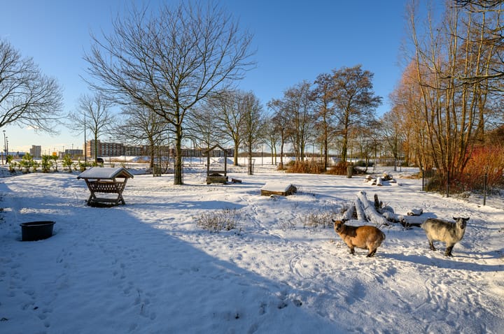 Foto 56 van Jaagpad 143