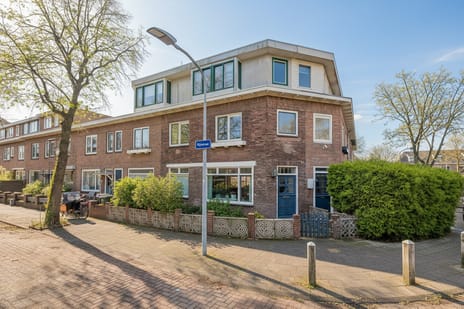 Rijnstraat thumbnail