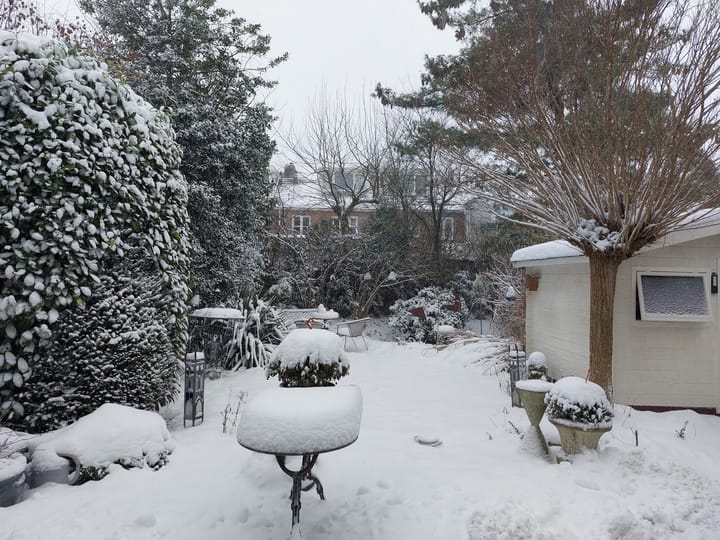 Foto 30 van Muntmeesterlaan 66