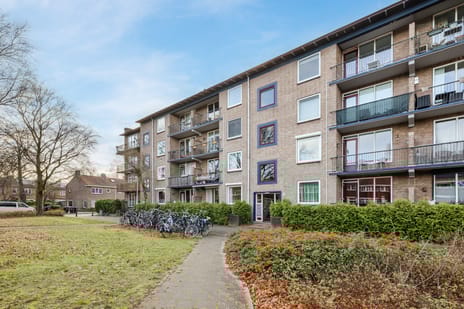 Wolfstraat thumbnail