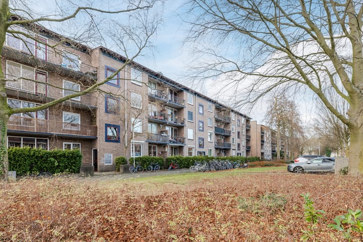 Foto 28 van Wolfstraat 176