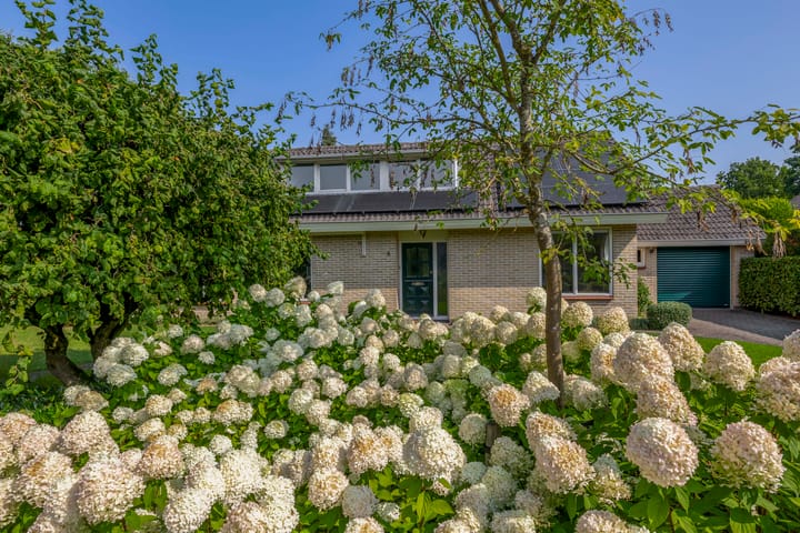 Foto 6 van Elisabethpark 4