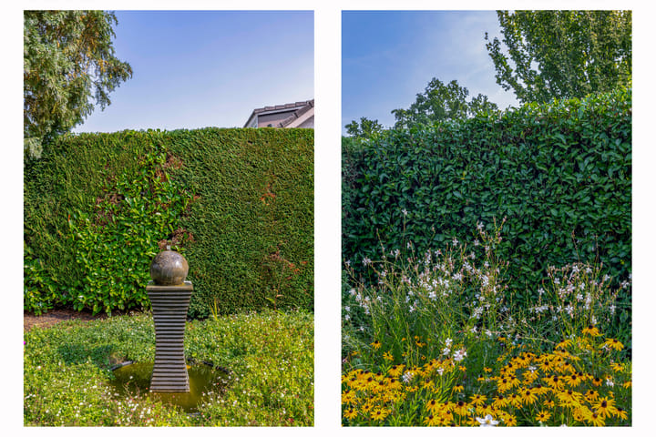 Foto 44 van Elisabethpark 4